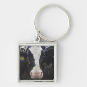 Llavero Vacas