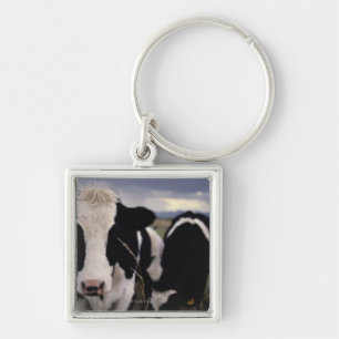 Llavero Vacas 3