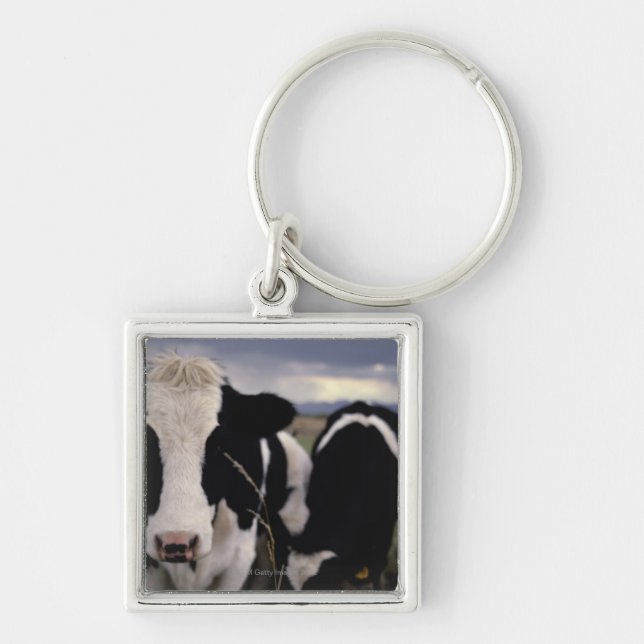 Llavero Vacas 3 (Frente)
