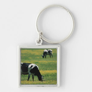 Llavero Vacas en un campo de flores