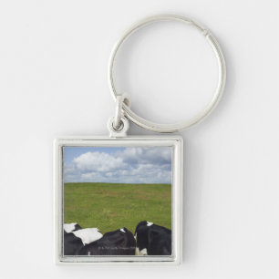 Llavero Vacas en un pasto