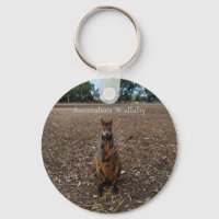 Valaby australiano comiendo palos, anillo de clave