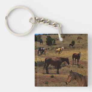 Llavero Valle De Los Caballos,