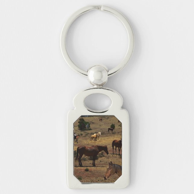 Llavero Valle De Los Caballos, Anillo Clave (Anverso)