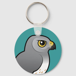 Llavero Varón de Harrier Septentrional