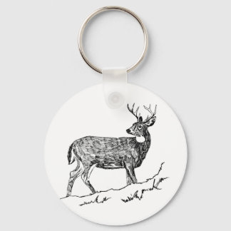 Llavero Venado / Blanco-Pítico / Odocolileus virginiano ca
