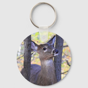 Llavero Venado en los bosques