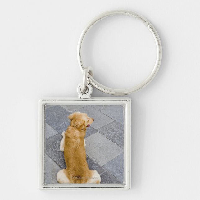 Llavero Venecia, Italia (Frente)