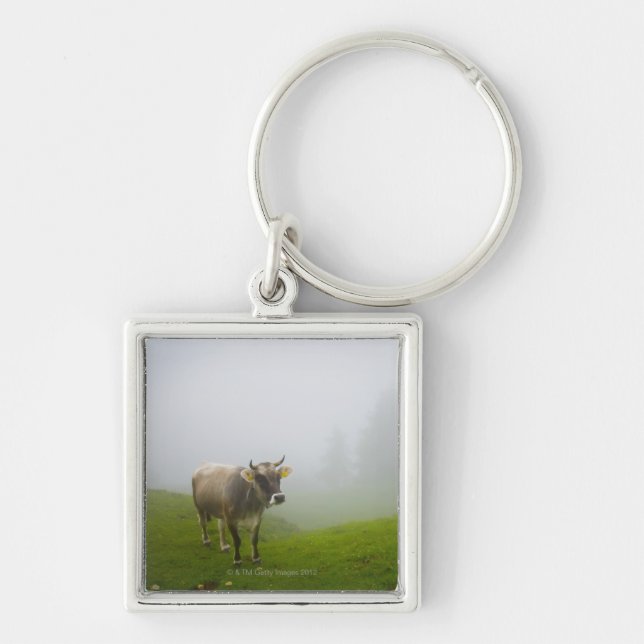 Llavero Véneto Italia (Frente)