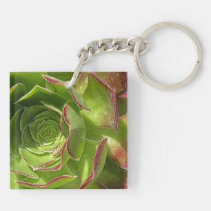 Llavero Verde