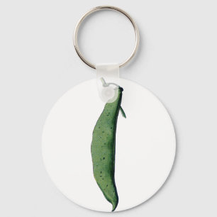Llavero Verde Bean vintage