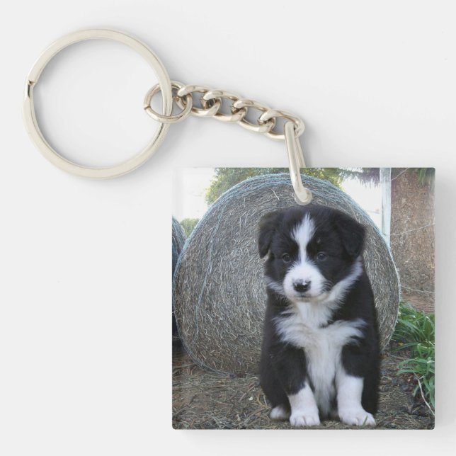 Llavero Vida de granja de cachorros de Border Collie, (Frente)