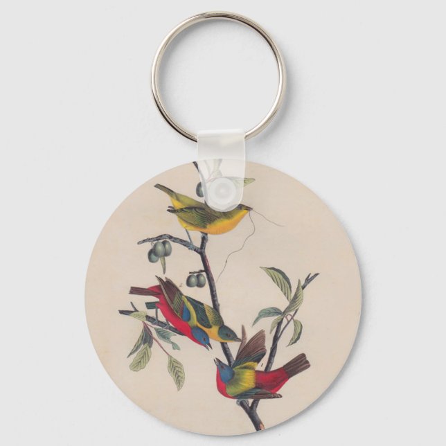 Llavero Vida silvestre de las aves de Bunting de Audubon (Anverso)