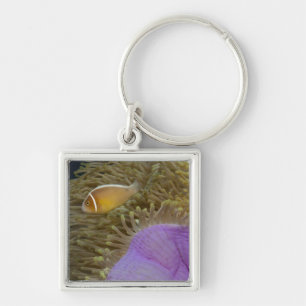 Llavero Vida subacuática; PESCADOS: Clownfish (rosa