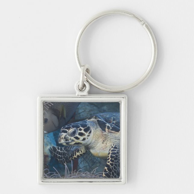 Llavero Vida subacuática: Una tortuga de mar de Hawksbill (Frente)