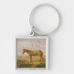 Llavero Viejo Billy, un caballo de proyecto, envejecido 62