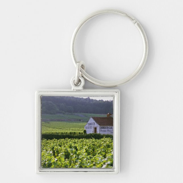Llavero viñedo Chambertin Clos de Beze Grand Cru con (Frente)