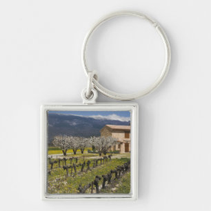 Llavero Viñedo inactivo, flor de fruta, casa de piedra,