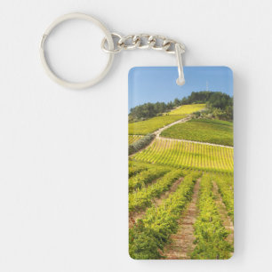 Llavero Viñedo, Stellenbosch, Cabo Occidental
