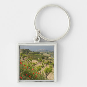 Llavero Viñedos cerca de Laguardia, capital de La Rioja