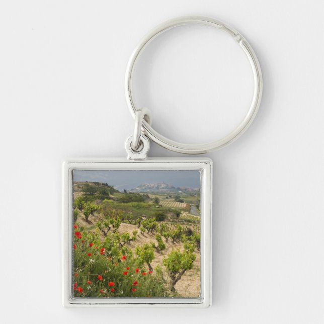 Llavero Viñedos cerca de Laguardia, capital de La Rioja (Frente)