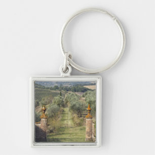 Llavero Viñedos, Toscana, Italia