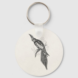 Llavero Vintage Fancy Parakeet Parrots 1800