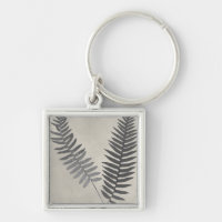 Vintage Ferns