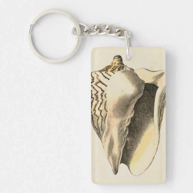 Llavero Vintage Sepia Conch Shell (Frente)