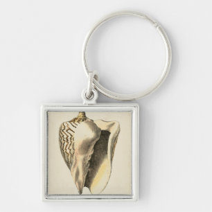 Llavero Vintage Sepia Conch Shell
