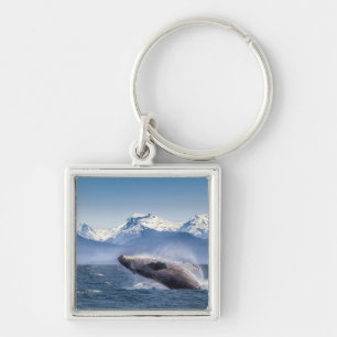 Llavero Violación de la ballena jorobada en Alaska