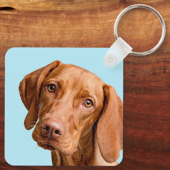 Llavero Visla (Reverso )