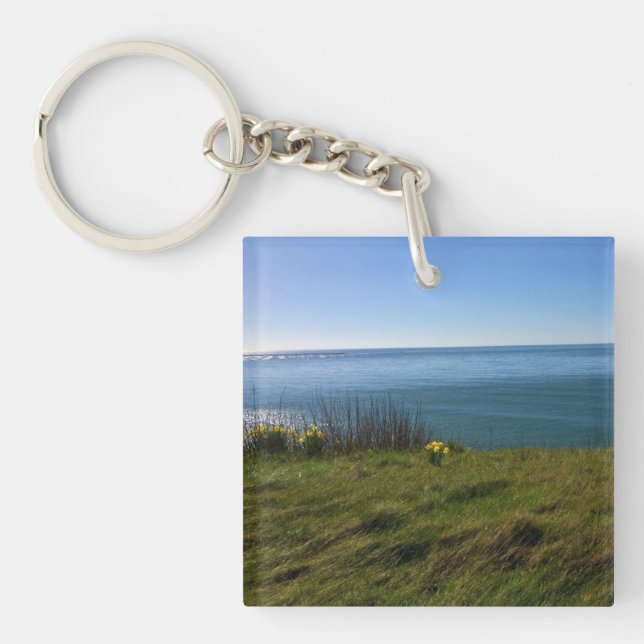 Llavero Vista desde el faro de decepción del Cabo, Wash. (Frente)