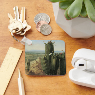 Llavero Vista desde la montaña Maricopa cerca del Río Gila