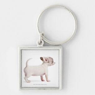 Llavero Vista lateral del perrito de la chihuahua (10