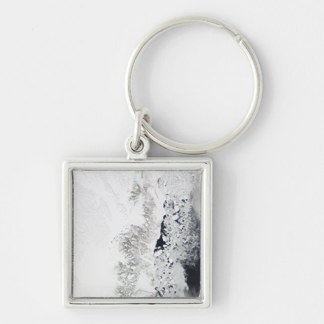 Llavero Vista por satélite de la costa oriental de Groenla (Frente)