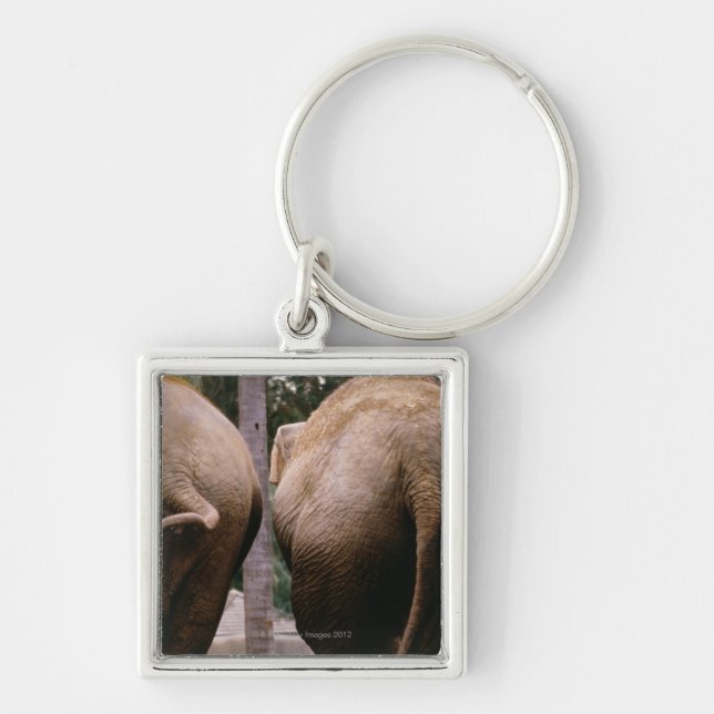 Llavero Vista posterior de elefantes asiáticos (Frente)