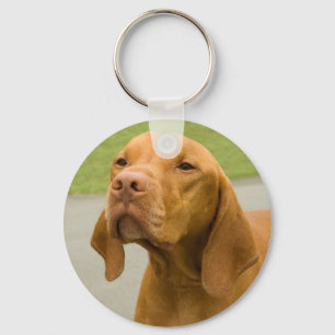 Llavero Vizsla