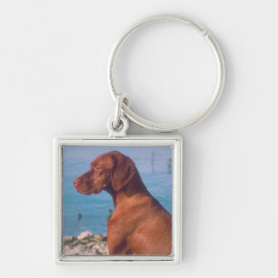 Llavero Vizsla
