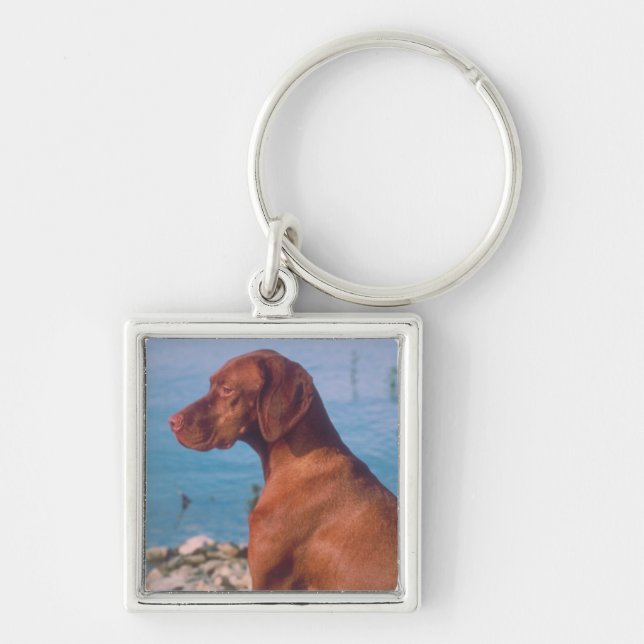 Llavero Vizsla (Frente)