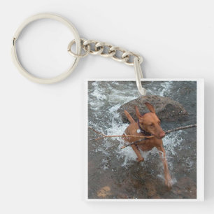 Llavero Vizsla_fetching en agua.png
