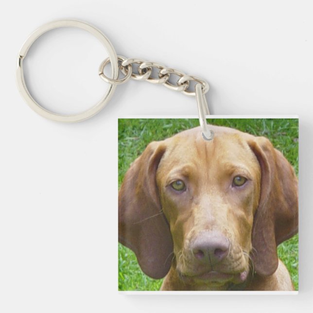 Llavero vizsla.png (Frente)