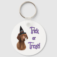 Vizsla Trick