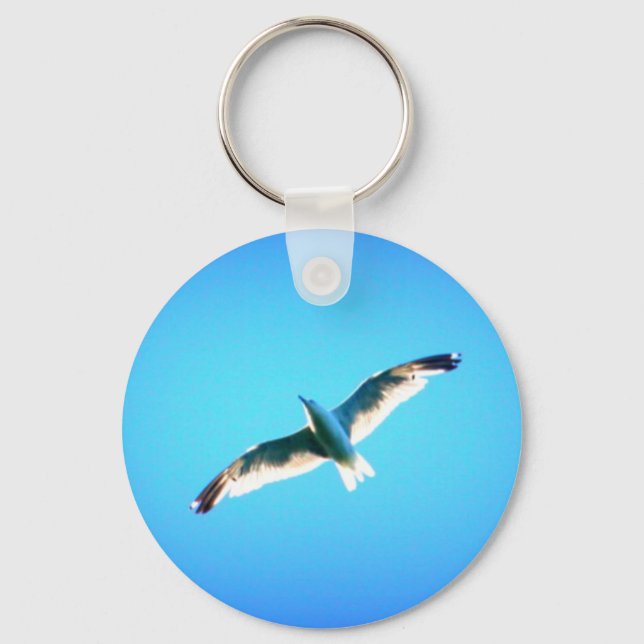 llavero volador de gaviota (Anverso)