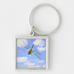 Llavero Vuelo verde del darner (junius de Anax) contra las