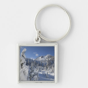 Llavero WA, Alpine Lakes Wilderness, cuenca del lago Snow