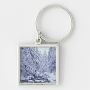 Llavero WA, Bosque Nacional Mount Baker-Snoqualmie,
