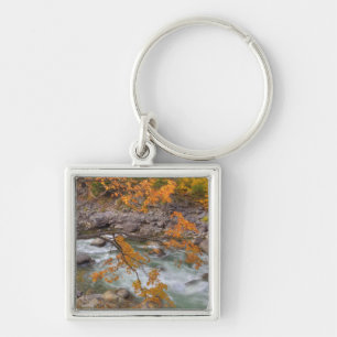 Llavero WA, Bosque Nacional Wenatchee, Árbol de arce y