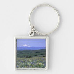 Llavero WA, Condado de Klickitat, Dalles Mountain Ranch,