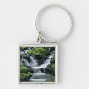 Llavero WA, Parque Nacional Olympic, Valle de Sol Duc, arr